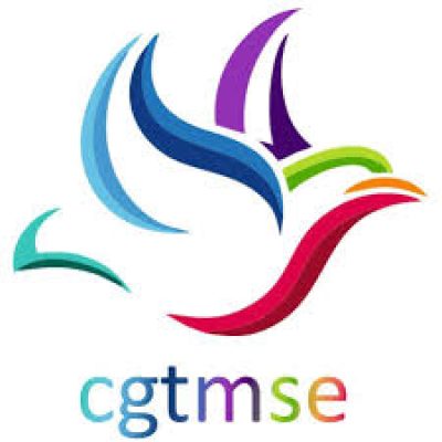cgtmse loan